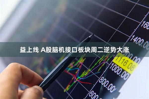 益上线 A股脑机接口板块周二逆势大涨