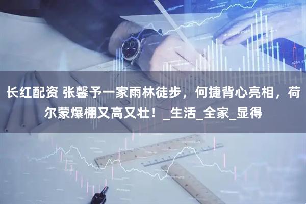 长红配资 张馨予一家雨林徒步，何捷背心亮相，荷尔蒙爆棚又高又壮！_生活_全家_显得