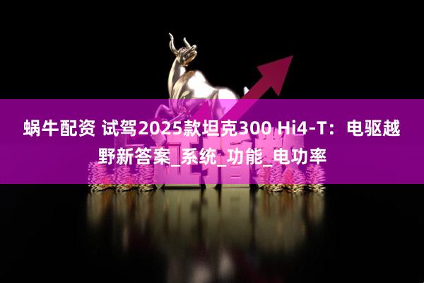 蜗牛配资 试驾2025款坦克300 Hi4-T：电驱越野新答案_系统_功能_电功率