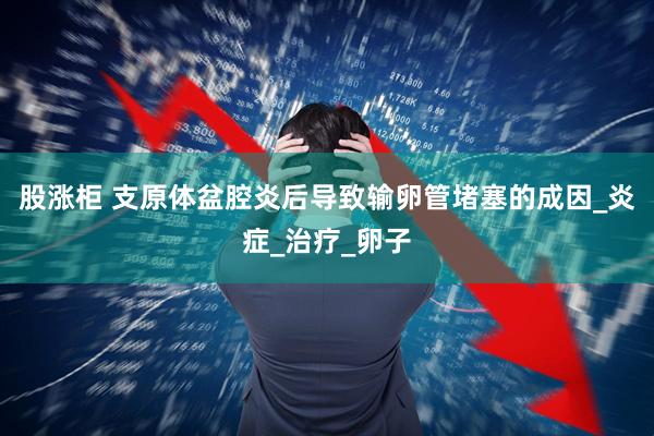 股涨柜 支原体盆腔炎后导致输卵管堵塞的成因_炎症_治疗_卵子