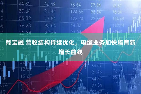 鼎宝融 营收结构持续优化，电缆业务加快培育新增长曲线