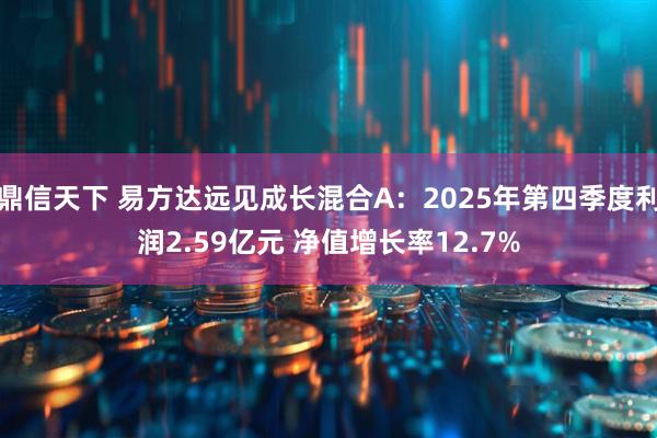 鼎信天下 易方达远见成长混合A：2025年第四季度利润2.59亿元 净值增长率12.7%